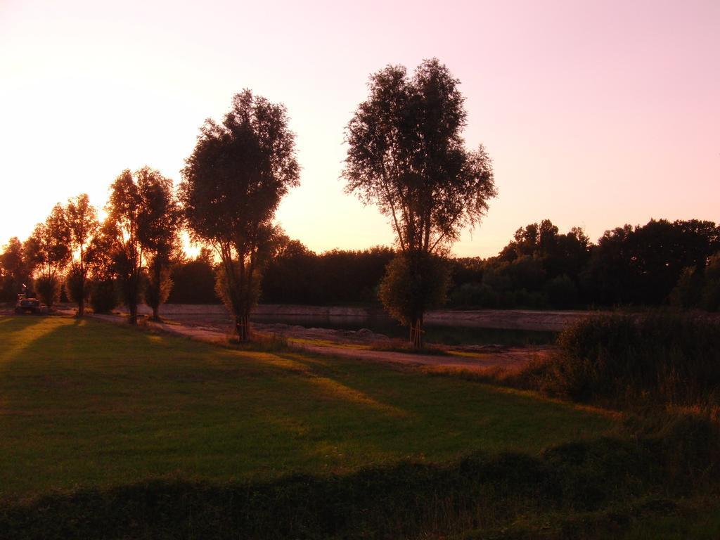 Tepe'S Gasthof Schwarmstedt Exteriör bild